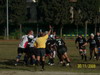 thumb_100_5522.jpg
